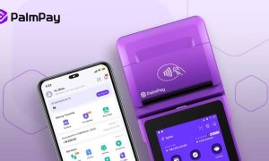 Palmpay Customer Care Number, WhatsApp Nigeria